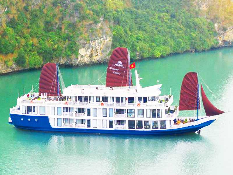 O'Gallery Lotus Cruise 3 Days 2 Nights