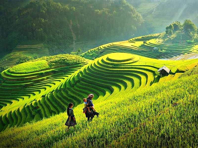 Halong Bay 6 Days 5 Nights Package: Ninh Binh - Ha Long Bay & Lanha Bay - Ha Giang