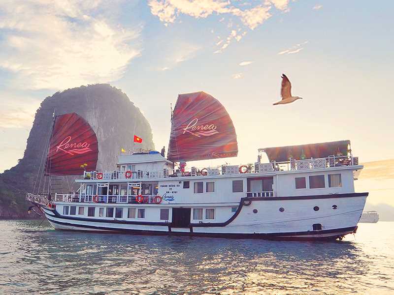 Renea Cruises - 2 Days 1 Night | Bai Tu Long Bay