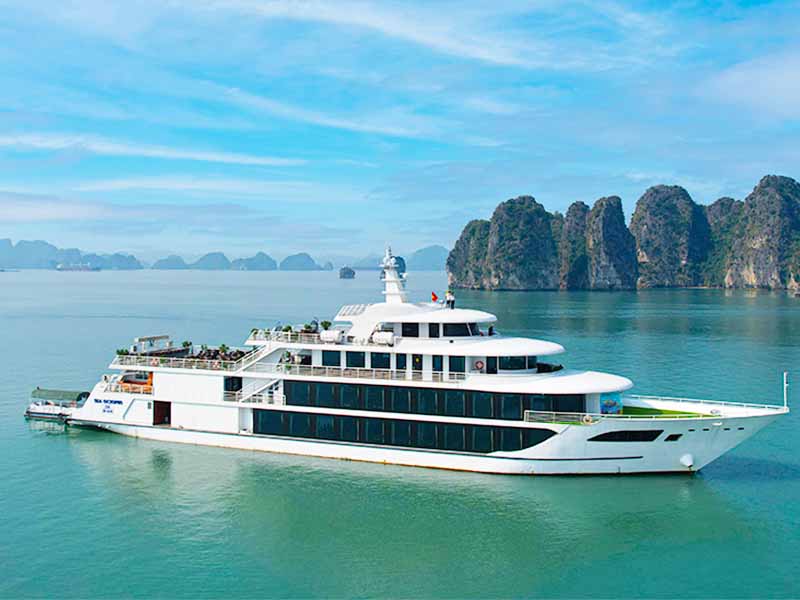 Sea Octopus Cruise - A Creative One-Day Exploration | Halong Bay 1 Day