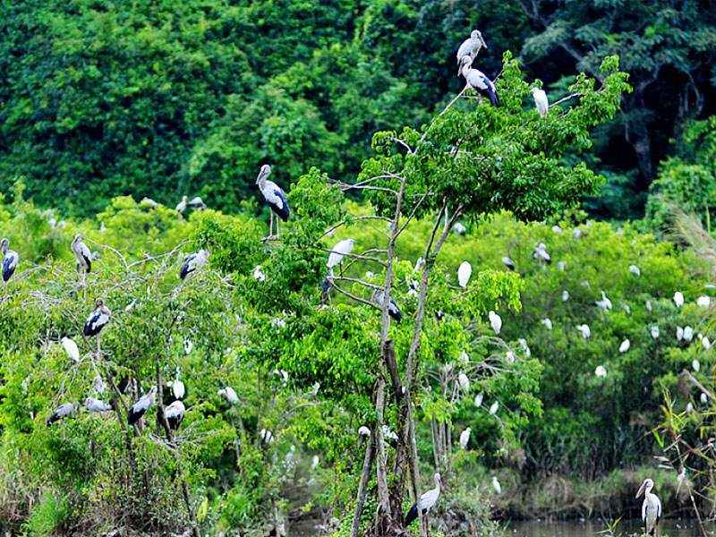 bai-tu-long-natinal-park-01